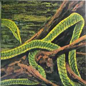 Rainforest Spiritual Enslavement - Green Graves