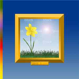 daffodil  - Have A Day