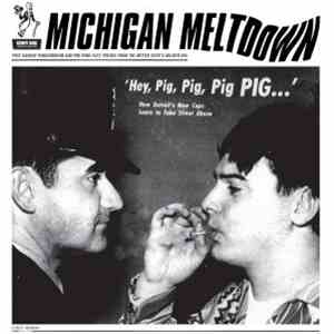 Various - Michigan Meltdown (Post-Garage Pandemonium And Pre-Punk Fuzz Freaks From The Mitten State's Miliken Era)