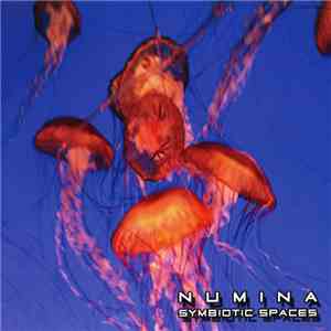 Numina - Symbiotic Spaces