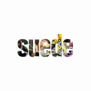 Suede - The Vinyl Collection