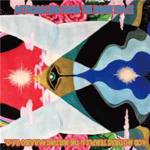 Acid Mothers Temple & The Melting Paraiso U.F.O. - Astrorgasm From The Inne ...