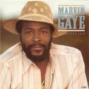 Marvin Gaye - Sanctified Lady