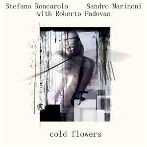 Sandro Marinoni & Stefano Roncarolo with Roberto Padovan - Cold Flowers