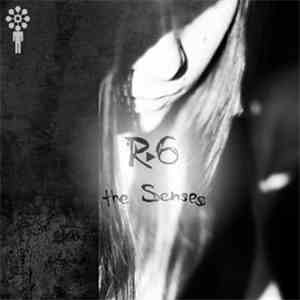 R6 - the Senses
