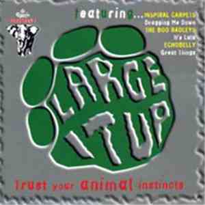 Various - Large It Up