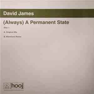 David James - (Always) A Permanent State