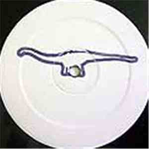 Diplodocus - Newsflash