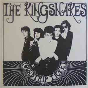 The Kingsnakes - Roundtrip Ticket