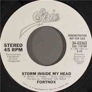 Fortnox  - Storm Inside My Head