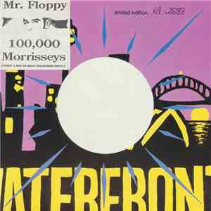 Mr Floppy - 100,000 Morrisseys