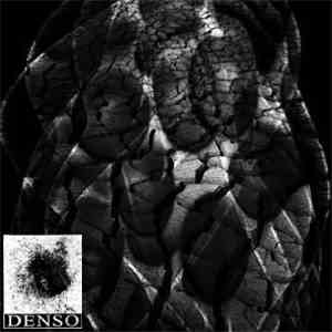 DENSO - 101126 / Psicoscillazioni Vive