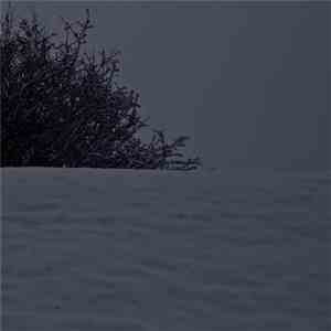 Tapage - Wallflower