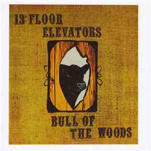13th Floor Elevators - Bull Of The Woods
