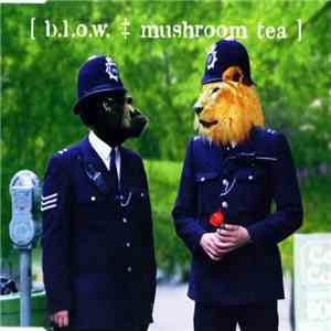 b.l.o.w. - Mushroom Tea