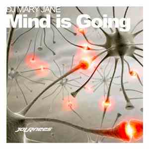 DJ Mary Jane - Mind Is Going