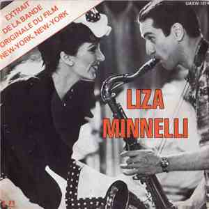 Liza Minnelli - Theme From 