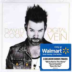 David Cook  - Digital Vein