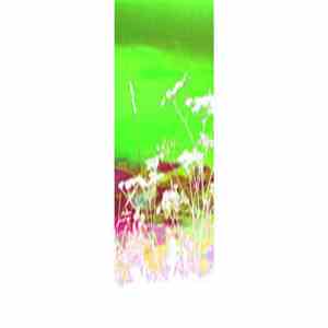 Razxca - XII
