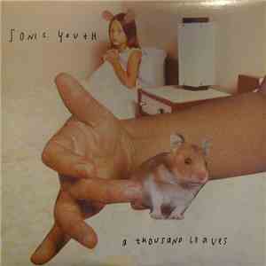 Sonic Youth - A Thousand Leaves
