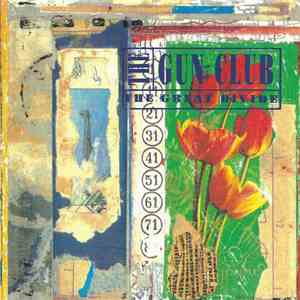 The Gun Club - The Great Divide