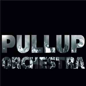Pullup Orchestra - The Brap LP