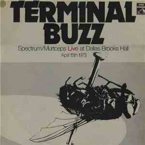 Spectrum  / Murtceps - Terminal Buzz