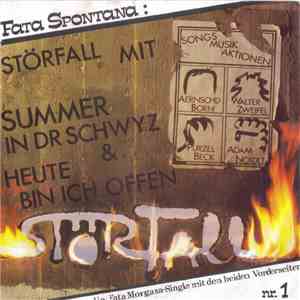 Störfall Band - Summer In Dr Schwyz