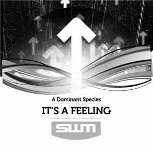 A Dominant Species - It's A Feeling