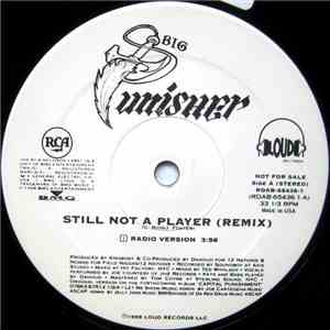 Big Punisher - Still Not A Player