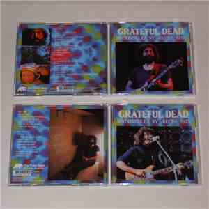Grateful Dead - Watkins Glen, NY July 28, 1973