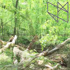 Njiijn - Field Recordings 8