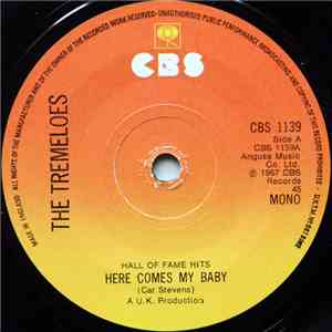 The Tremeloes - Here Comes My Baby / Silence Is Golden