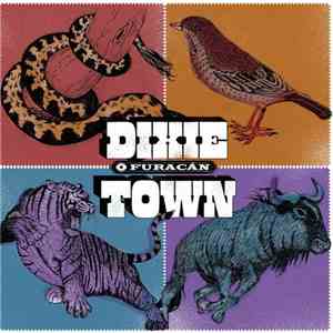 Dixie Town - O Furacán