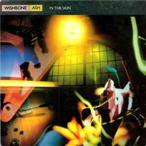 Wishbone Ash - In The Skin