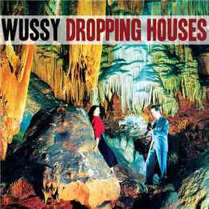 Wussy - Dropping Houses / Folk Night at Fcky's