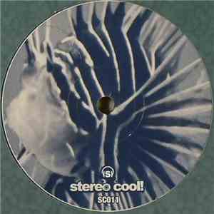 Zebra - Bahia Azul