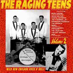 Various - The Raging Teens Volume 2