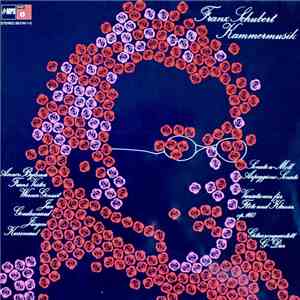 Franz Schubert - Kammermusik