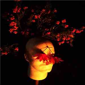 Sheep Bella Tine - What Doesn't Kill You Makes You Exotic