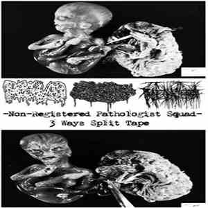 Dissolved / Human Stench Rests In The Morgue / Proteobacteria - Non-Registe ...
