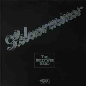 The Bully Wee Band - Silvermines