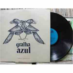 Ely Camargo - Gralha Azul