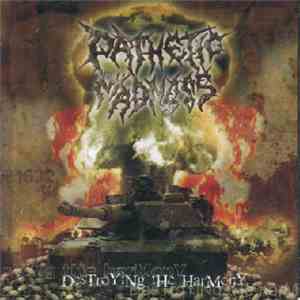Pathetic Madness - Destroying The Harmony