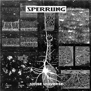Sperrung - Noise Universe