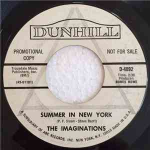 The Imaginations  - Summer In New York / I Love You When You're Mad