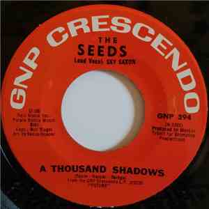 The Seeds - A Thousand Shadows