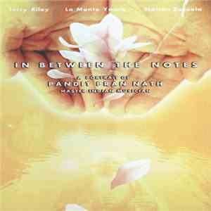 Pandit Pran Nath - In Between The Notes : A Portrait Of Pandit Pran Nath