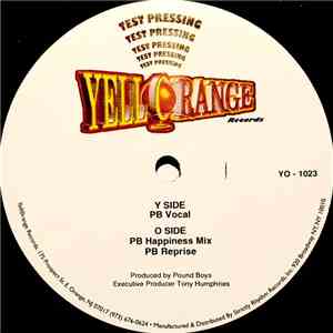 Pound Boys Feat. Yvonne Brown - You Make Me Happy