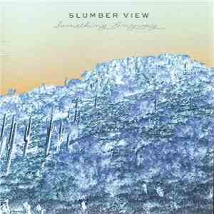 Slumber View - Something Anyway